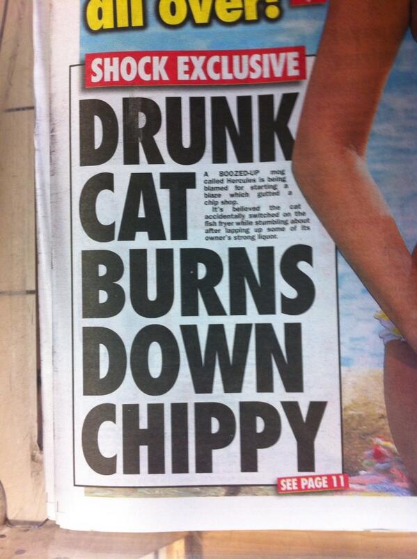 Bloody hell Tiddles, stay off the gin next time!