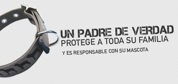 PadresdeVerdad's tweet photo. http://t.co/KlMF7ZwJYQ  #PadresDeVerdad por la tenencia responsable de mascotas. http://t.co/7KZt20IH90
