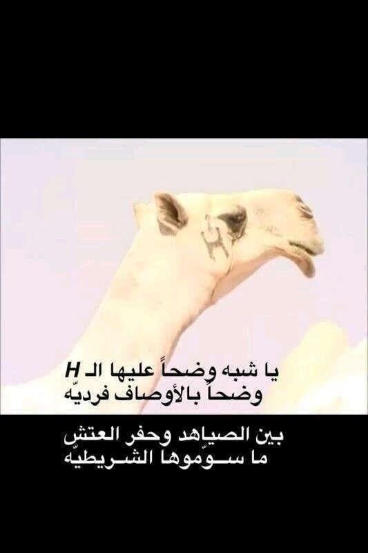amateaur1122's tweet photo. عليها الH http://t.co/Saos5MkkML