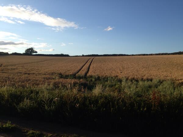 Guy Riggott (@guyriggott) | Twitter