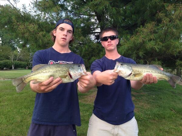 Fish on