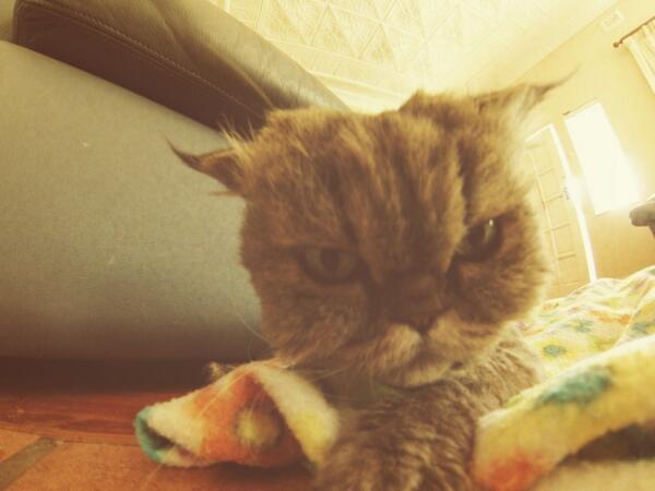 Chillaxing <a href="/GoPro/">GoPro</a> #GoProApp