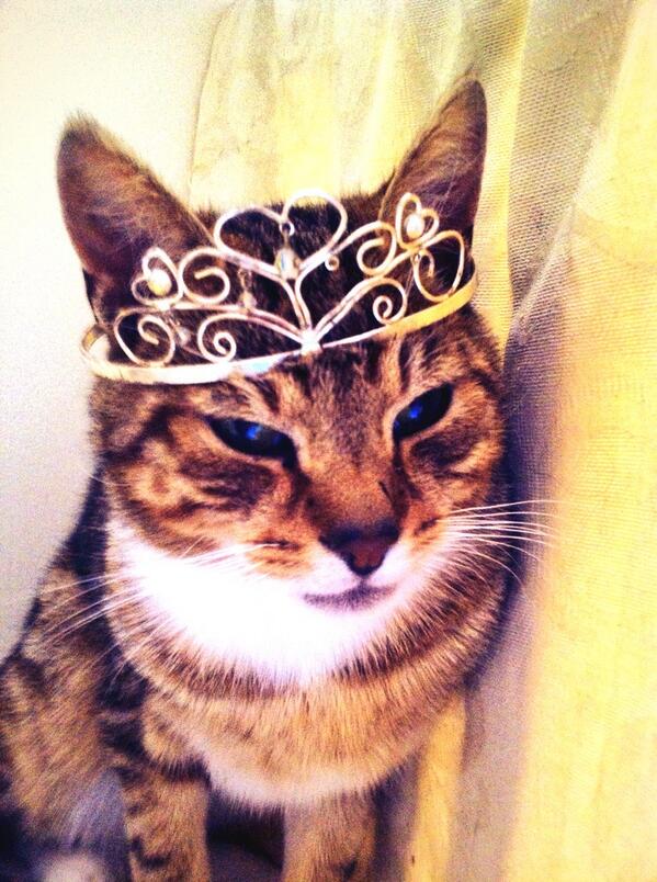 xxxaineyxxx's tweet photo. ππHappy happy Monday y'all ππ #happygirlie #notsohappykitty π http://t.co/A4iVIBWKl3