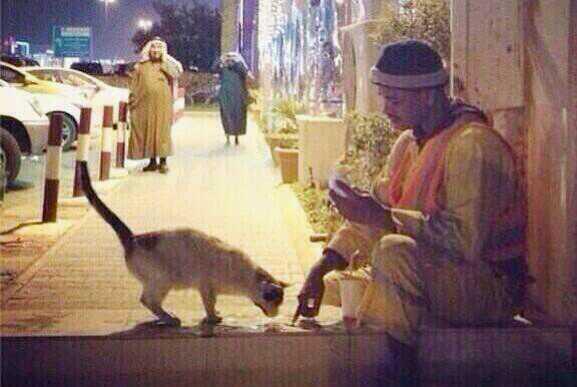 صورة معبرة لعامل نظافة وهو يتقاسم طعامه مع قطه، تعلم أيها الغني من أفعال الفقير!