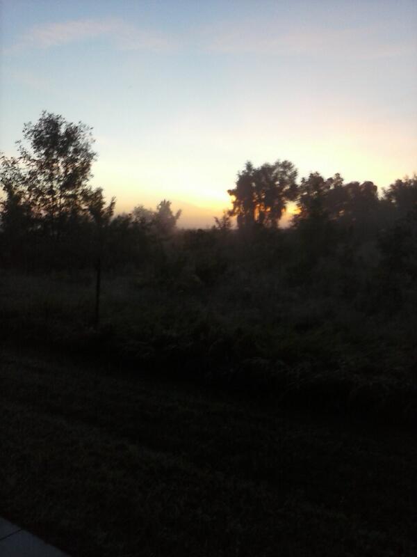 chicken094's tweet image. #Perfectwalk