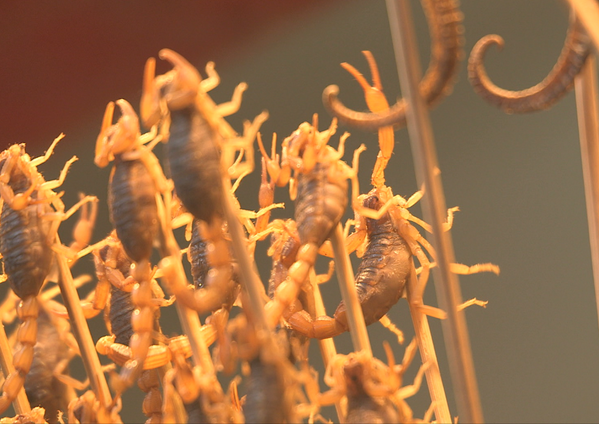 Super16Films's tweet photo. They eat some strange food over in China, first dog penises and now scorpions on sticks! http://t.co/3Y2e6a6Hg7
