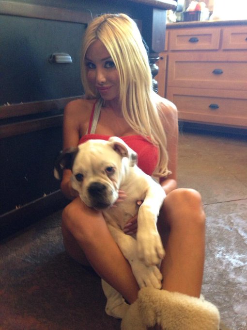 My little playmate on set today lol #puppylove #behindthescenes http://t.co/dUlIAVF51E<a href="/tag/puppylove"class="tags">#puppylove</a><a href="/tag/behindthescenes"class="tags"><span>#behindthescenes</span></a>