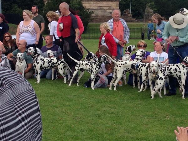 #scottishdalmatianwelfare #dallyrally great day out. I love Dalmatians lol