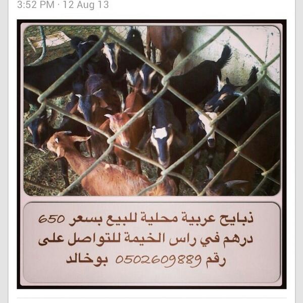 mariamfarm's tweet photo. http://t.co/FYkyMYxZpy