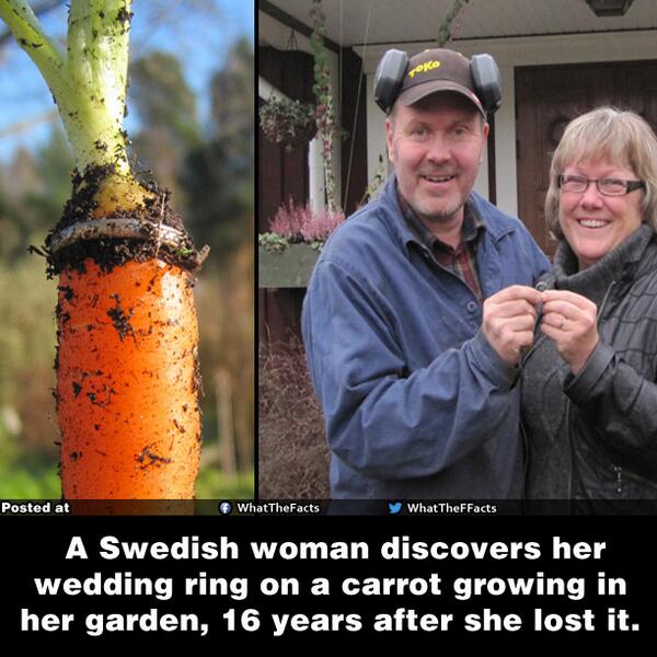 WhatTheFFacts's tweet photo. Lost wedding ring...! http://t.co/E0CXE1DunW