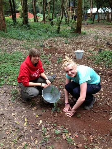 emmahooker23's tweet photo. One of 400+ trees planted during our community development project @Kenya2013_  with @ShelleyDeBere http://t.co/4TBMPbNyi6