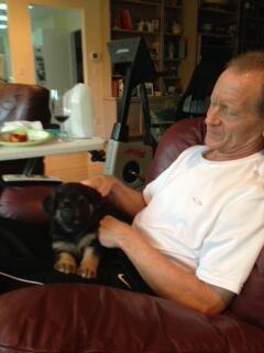 PhoenixWingmen's tweet photo. No new info really.Xcept I finally caved and got DAS a german shepherd puppy. He named her Zoe - calls her Zoey. http://t.co/0eLQ8KnoDn