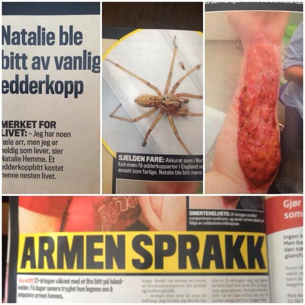 Ble tusen ganger reddere edderkopper