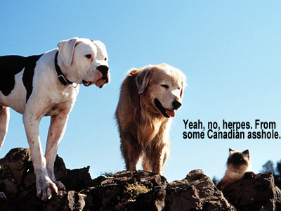 Mark Mathias Sayre tweet media