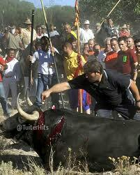 TuiterHits's tweet photo. DENUNCIA EL TORO DE LA VEGA CON UN RT...GRACIAS http://t.co/tfvzZhiDxa
