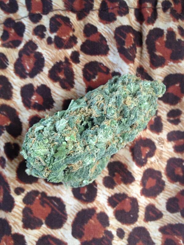 ChiefMeelo's tweet image. Perfect night.