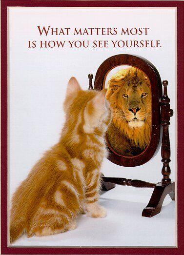 Michael Baisden Live tweet media