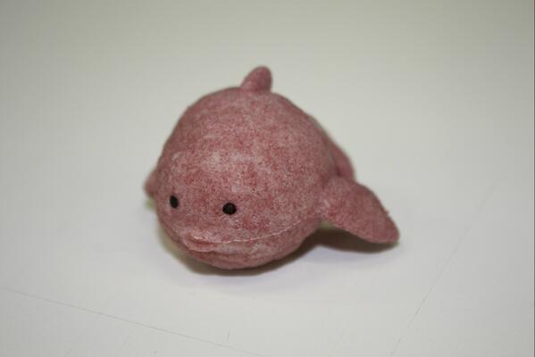 うわ～！うちの子（フグ鯨）・・・毒化してもうた～！！・・こんな