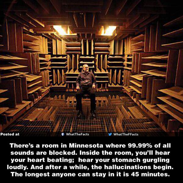 WhatTheFFacts's tweet photo. World's quietest place where 99.99% of all sounds are blocked...! http://t.co/PeLGhI0DET