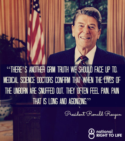 nrlc's tweet photo. Reagan was right: Grim truth we should face up to: Babies feel pain when their lives are ended in abortion. #prolife http://t.co/bV7hbNwmzY