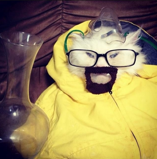BRjncFoCAAAC22Z.png:large