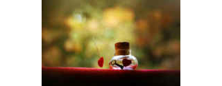 b39602591's tweet photo. هنآكَ  أنتَ  حيثُ لا غيرك في الأرض يُعجبُني ♥ http://t.co/yKapNknSFh