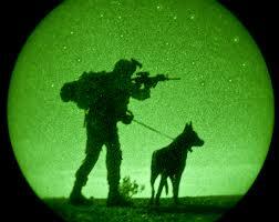 K9 DOGS of WAR tweet media