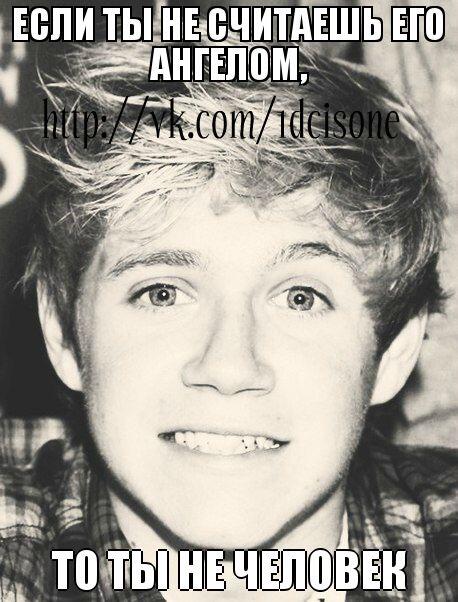 ...CAT... (@kevin1dkiss) on Twitter photo 