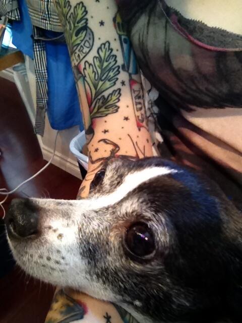 ThreeTP's tweet image. Have you met our mascot Chaos yet? She sure wants to meet you.