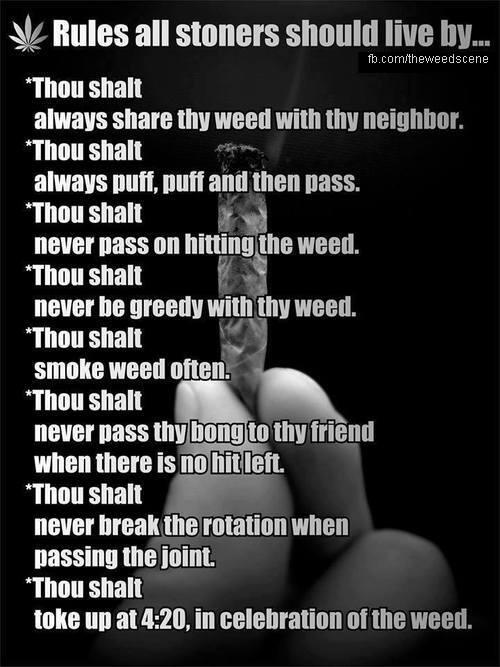 KaneSnowkcmo's tweet image. 