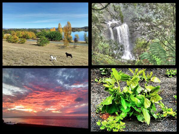 iTHRIVE_Plan's tweet image. Submit your #NaturePhoto to enter in our Nature Nurtures Photo Contest! Post on FB or fivetothriveauthors@gmail.com.