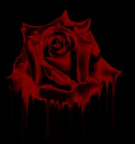 Arubanger's tweet photo. @sweetmary_609 Happy Tuesday sweet friend ;-) http://t.co/Nb5GFZ4f9t