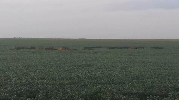 Someone left the gate open. Whoops