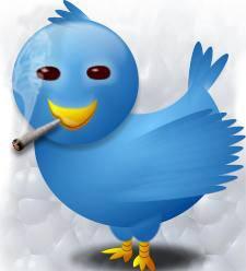 KaneSnowkcmo's tweet image. 