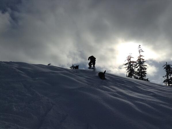Snowshoeing in Whistler. #ProjectAdventure