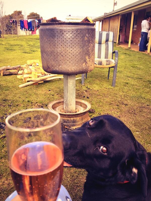HannahPigram's tweet image. This is what I'm talkin about #firebucket #home #winter #lily #lab #wine #sunday #weekend