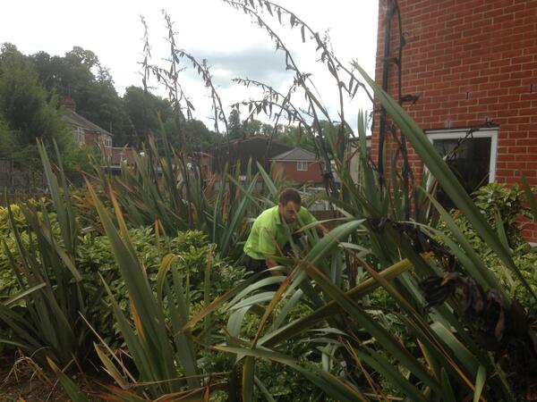 Welcome to Jurassic Park #DukeStreet