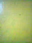 bashiir's tweet photo. Wall http://t.co/BtwEYv5SBo