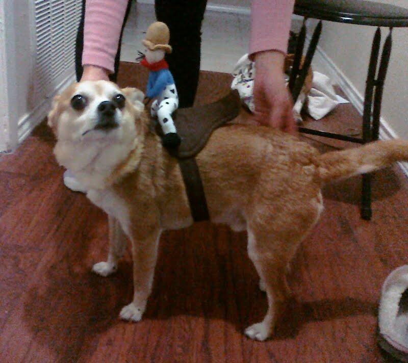 gnome2