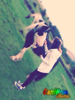 LouLeia's tweet photo. #horse #yewtreefarm #withthebestfriend #thismorning #aha http://t.co/OCohNHJBY4