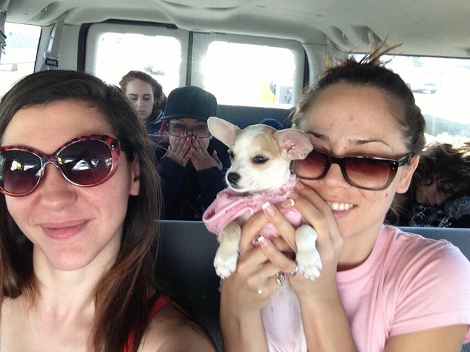 Riding in porno van http://t.co/xCDti5sQPD<a href="/tag/fan"class="tags"><span>#fan</span></a>