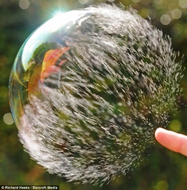 SlowMoPictures's tweet photo. The moment you pop a bubble. http://t.co/aQrmxNwaFP