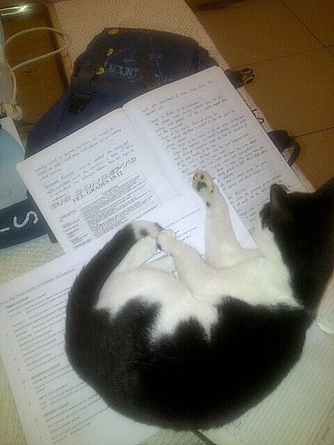 357luca's tweet image. 