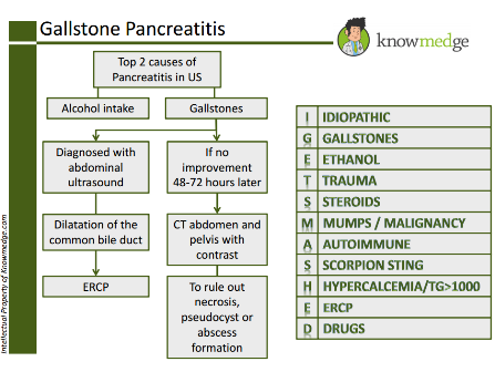 Do you know the major causes of Pancreatitis? See our diagrams on Pinterest and follow us at pinterest.com/knowmedge