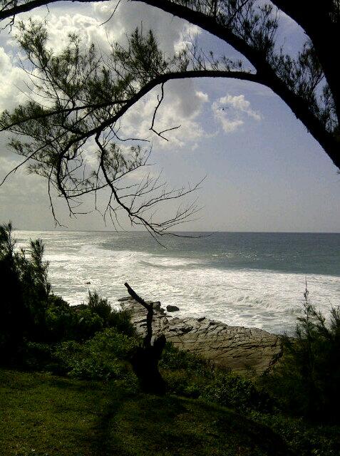 "<a href="/Fazza_J/">Farren Jade 🍍</a>: Another crappy day chilling in my garden #bliss :) " official durbanite !!