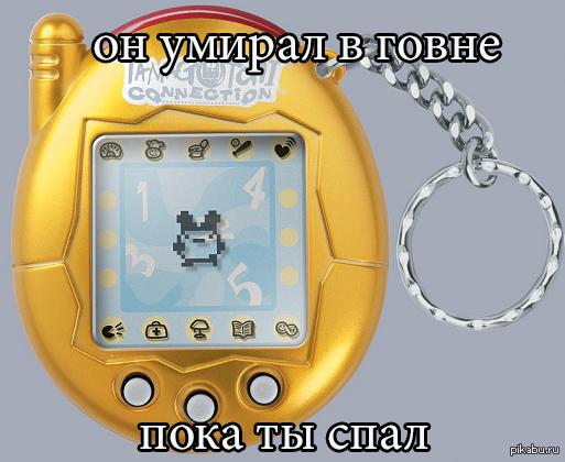 https://pbs.twimg.com/media/BRt6hrkCMAAbteF.jpg:large
