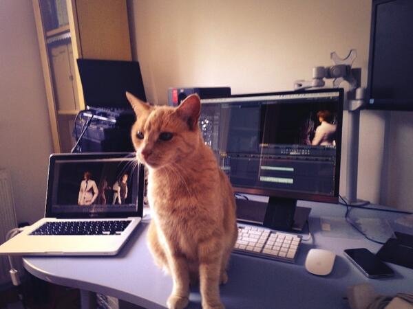 Nick Singleton tweet media