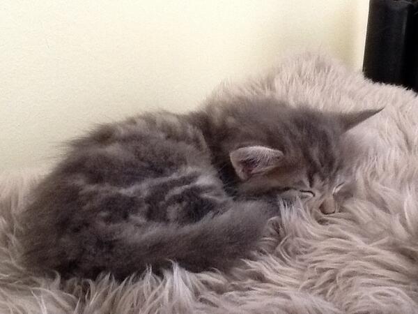 mieze78 tweet picture