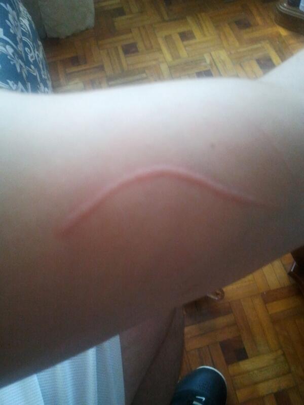 delfinfernande1's tweet photo. mi gata sisi.....me quiere tanto:'( http://t.co/gekQ5xn5hM