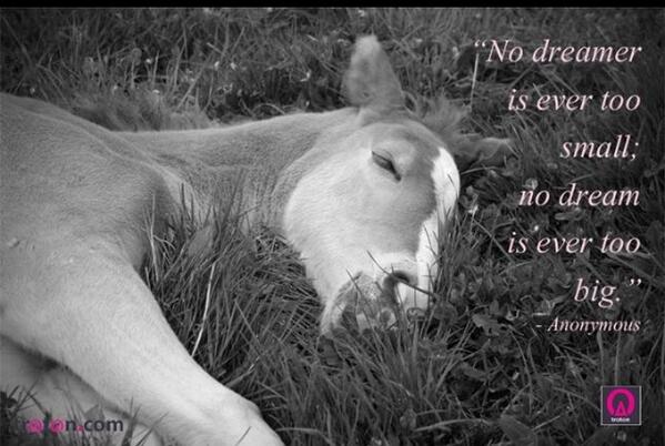 BurrowsF's tweet image. 